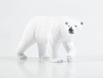 Дикие животные России № 51: Белый медведь Дикие животные России, фото 7