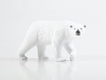 Дикие животные России № 51: Белый медведь Дикие животные России, фото 11