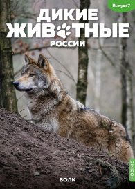 Дикие животные России № 7: Волк