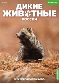 Дикие животные России № 26: Енотовидная собака