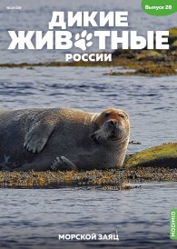 Дикие животные России № 28: Морской заяц
