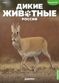 Дикие животные России № 29: Дзерен