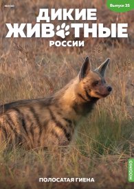 Дикие животные России № 35: Полосатая гиена