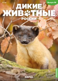 Дикие животные России № 36: Харза