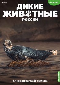 Дикие животные России № 43: Длинномордый тюлень Дикие животные России