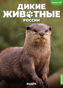 Дикие животные России № 13: Выдра