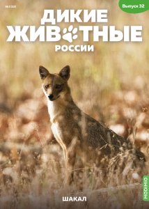 Дикие животные России № 32: Шакал