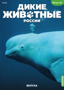 Дикие животные России № 33: Белуха