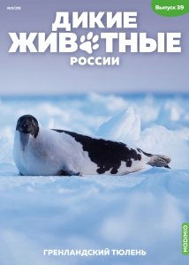 Дикие животные России № 39: Гренландский тюлень