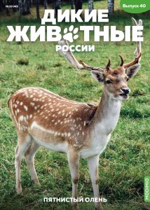 Дикие животные России № 40: Пятнистый олень