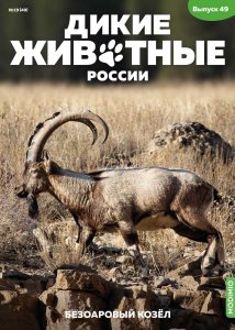 Дикие животные России № 49: Безоаровый козёл Дикие животные России