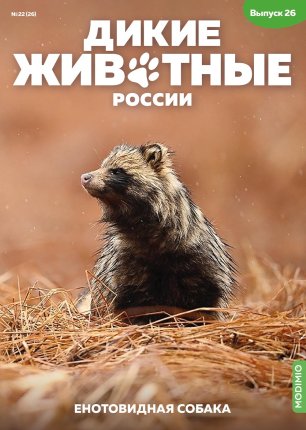 Дикие животные России № 26: Енотовидная собака