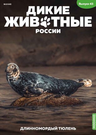 Дикие животные России № 43: Длинномордый тюлень