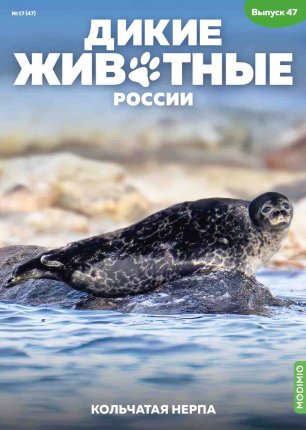 Дикие животные России № 47: Кольчатая нерпа Дикие животные России