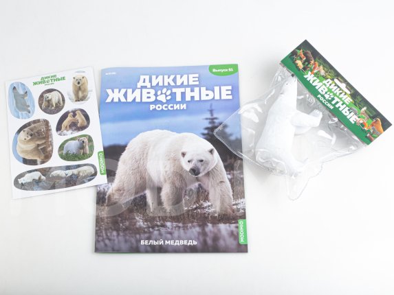 Дикие животные России № 51: Белый медведь Дикие животные России, фото 2