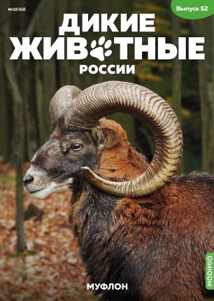 Дикие животные России № 52: Муфлон Дикие животные России