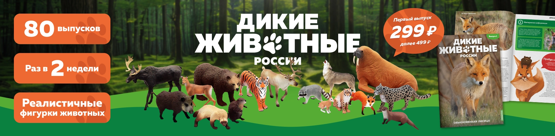 Баннер